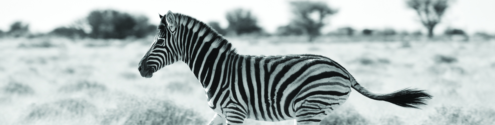 14 44 banner